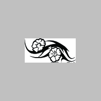 flr (1013).jpg
